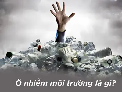 Ô nhiễm môi trường là gì? Nguyên nhân và tác hại chi tiết