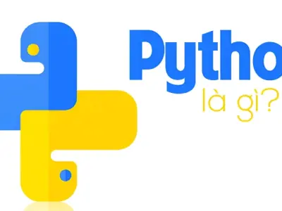 Python là gì? Những điều cần biết trước khi bắt đầu học