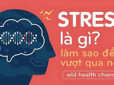 Stress là gì? Hiểu đúng để kiểm soát căng thẳng hiệu quả