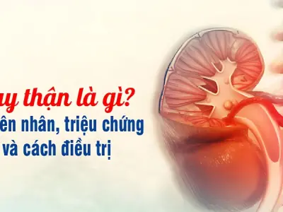 Suy thận là gì? Cảnh báo sớm từ những dấu hiệu nhỏ