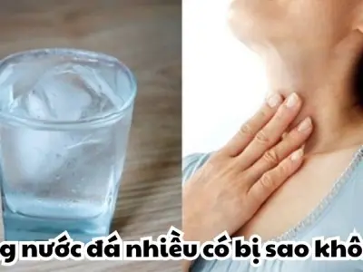 Uống nước đá nhiều có bị sao không và những hệ lụy tiềm ẩn