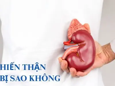 Hiến thận có bị sao không và sự thật ít ai dám nói ra