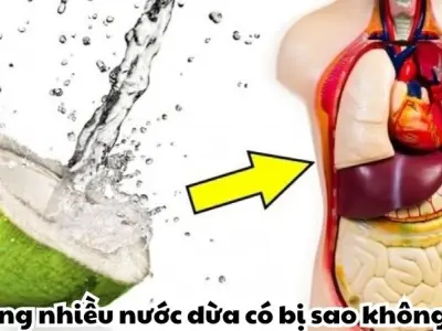 Uống nhiều nước dừa có bị sao không và lời cảnh báo