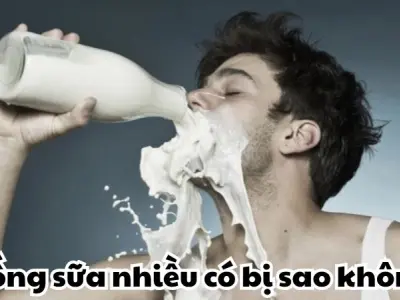 Uống sữa nhiều có bị sao không - Uống bao nhiêu một ngày