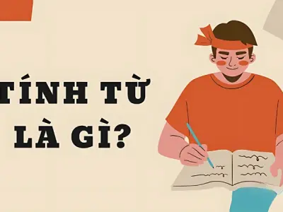 Tính từ là gì? Hướng dẫn dùng đúng trong tiếng Anh và Việt