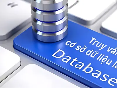 Truy vấn cơ sở dữ liệu là gì? Vai trò trong công nghệ