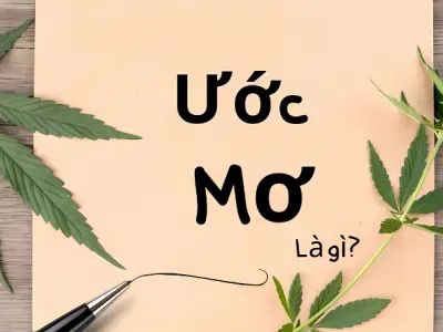 Ước mơ là gì? Cách xây dựng và chinh phục mục tiêu sống