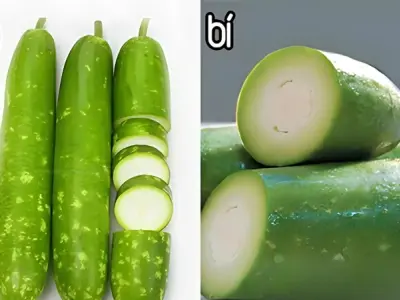 Bí kíp cực dễ cách phân biệt bầu và bí không ai nói!