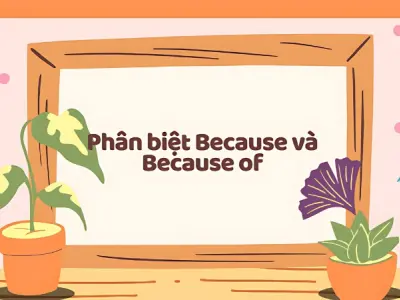 Cách phân biệt because và because of chuẩn, dễ áp dụng