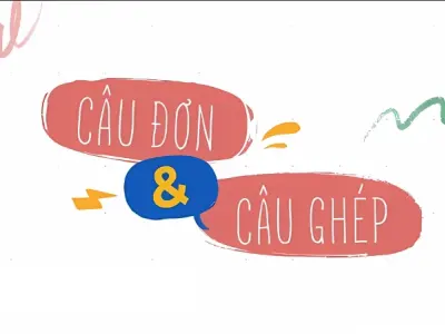 Học ngay cách phân biệt câu đơn câu ghép chính xác nhất
