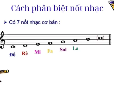 Bí quyết cách phân biệt nốt nhạc chuẩn chỉ cho người mới