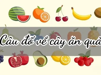 Khám phá những câu đố về cây ăn quả hấp dẫn có đáp án