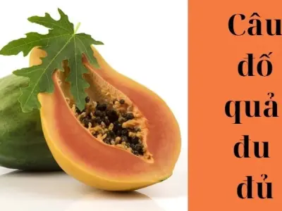 Tổng hợp câu đố quả đu đủ thú vị giúp bé vừa học vừa chơi