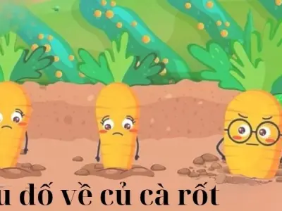 Tuyển tập câu đố về củ cà rốt cực vui dành cho bé