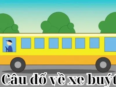 Giải mã loạt câu đố về xe buýt siêu hài hước và siêu hot