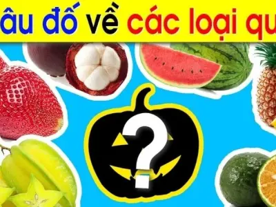 Câu hỏi đố vui về trái cây thử thách trí thông minh