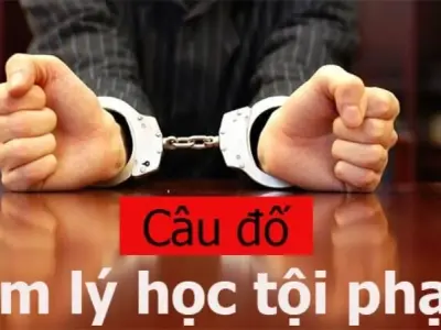 Tổng hợp câu đố tâm lý học tội phạm đầy tính ám ảnh