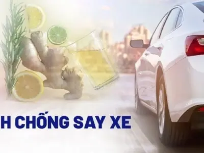 Tổng hợp mẹo dân gian chống say xe an toàn và hiệu quả