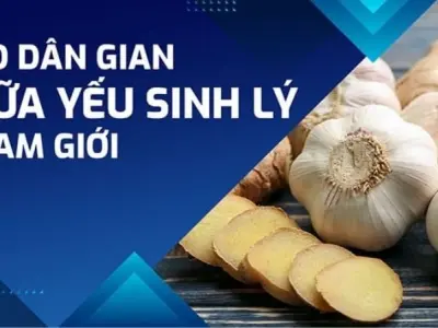 Mẹo dân gian chữa yếu sinh lý giúp cải thiện phong độ