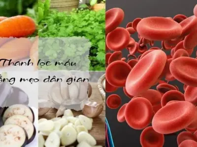 Bí quyết thanh lọc máu bằng phương pháp dân gian xưa
