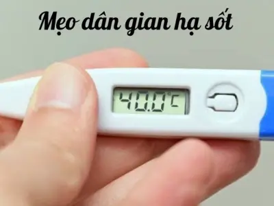 Mẹo hạ sốt dân gian từ nguyên liệu thiên nhiên dễ tìm