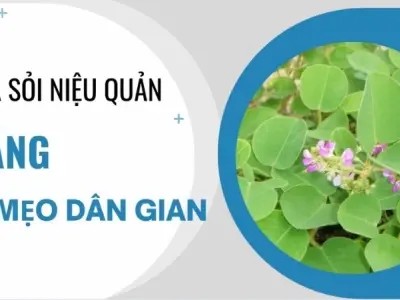 Hé lộ mẹo dân gian đánh tan sỏi niệu quản tại nhà