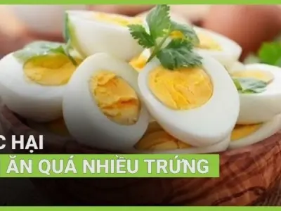 Sốc với tác hại của việc ăn nhiều trứng ai cũng dễ mắc phải