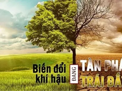 Cảnh báo toàn cầu về tác hại biến đổi khí hậu không ngờ tới