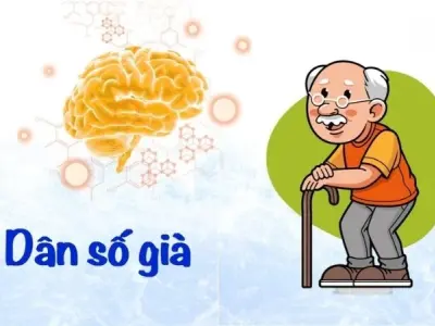 Giật mình trước tác hại dân số già đang lan rộng toàn cầu