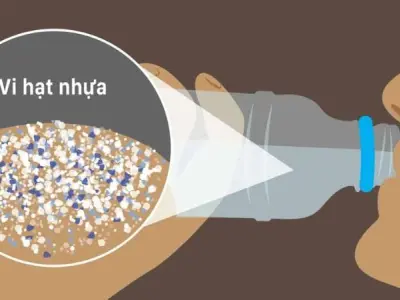 Hiểm họa từ tác hại hạt vi nhựa đối với con người hiện nay