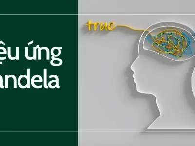Giải mã hiệu ứng Mandela bằng các thiết bị hỗ trợ ghi nhớ