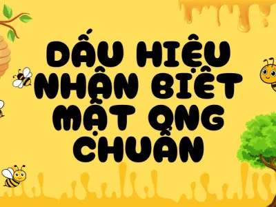 Mẹo phân biệt mật ong thật và giả chuẩn xác ngay tại nhà