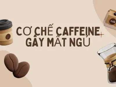 Sự thật về tác hại của caffeine lên cơ thể ít ai biết đến