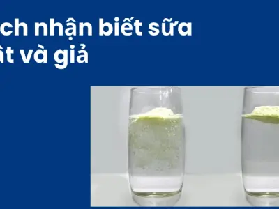 Hướng dẫn nhận diện sữa thật và sữa giả chuẩn xác nhất