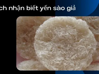 Mẹo phân biệt yến sào thật giả dễ nhận biết nhất hiện nay