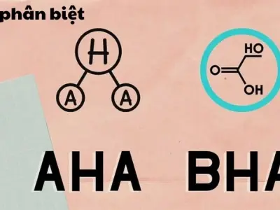 Cách phân biệt AHA và BHA chuẩn chuyên gia da liễu Mỹ