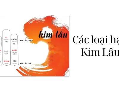 Bí mật cách tính hạn kim lâu chuẩn xác nhất cho mọi gia chủ