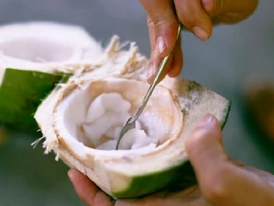 Ăn cùi dừa có hại không phân tích chuyên sâu tác hại và lợi ích sức khỏe