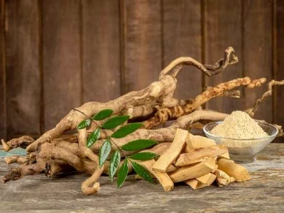 Cây Mật Nhân: Công Dụng Tuyệt Vời và Tác Hại Cần Lưu Ý