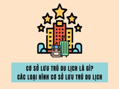 Cơ sở lưu trú du lịch là gì? Phân loại và đặc điểm chi tiết 2026