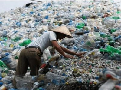 Đồ Dùng Bằng Nhựa Tiện Ích Và Tác Hại Từ Góc Nhìn Chuyên Gia Năm 2026