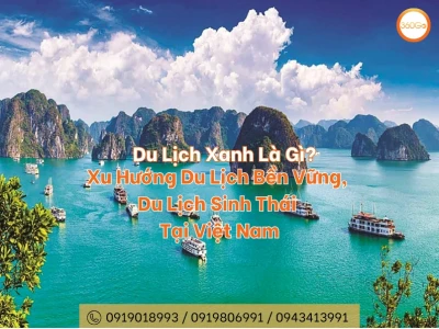 Du lịch xanh là gì? Khám phá xu hướng bền vững tại Việt Nam 2026