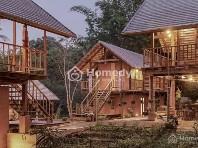 Farmstay là gì? Khám phá trải nghiệm độc đáo tại những farmstay lý tưởng
