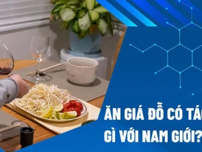 Giá đỗ tốt hay xấu cho nam giới trong năm 2026?