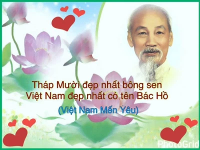 Khám phá Ca dao Đồng Tháp "Thủ phủ đất Sen hồng"