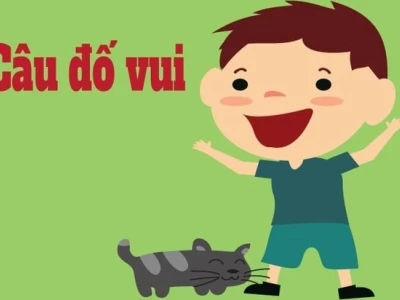 Khám phá những câu hỏi đố mẹo khó nhất và câu trả lời hack não