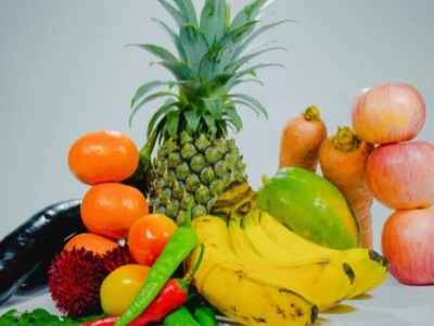 Khám Phá Thế Giới Thực Vật Qua Những Câu Đố Vui Hấp Dẫn