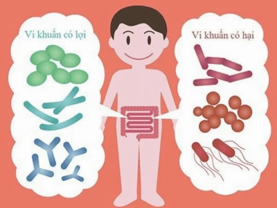 Lợi ích và tác hại của vi khuẩn: Khám phá thế giới vi sinh vật