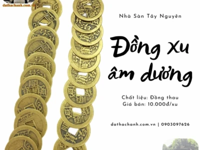Nhận Biết Mặt Âm Dương Của Đồng Xu: Hướng Dẫn Chi Tiết