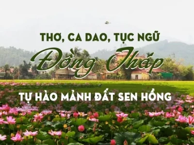 Những câu ca dao về Đồng Tháp: Di sản văn hóa đất Sen hồng